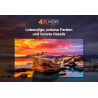 TCL 43PF650 43-Zoll 4K Ultra HD, HDR TV, Smart LED Fire TV (Dolby Vision, Dolby Atmos, DTS, HDR 10, Alexa integriert, Airplay2,