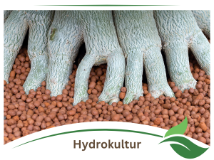 Hydrokultur Pflanzton Substrat Granulat Blähton