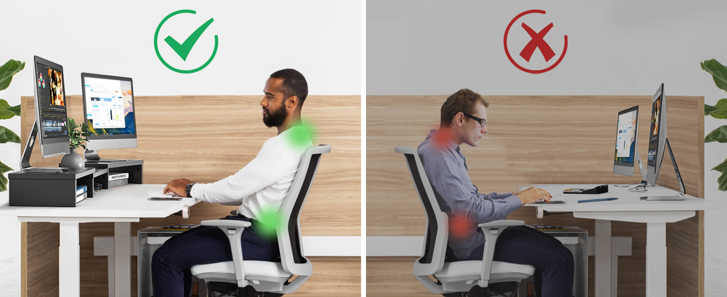 Dual Monitor Stand