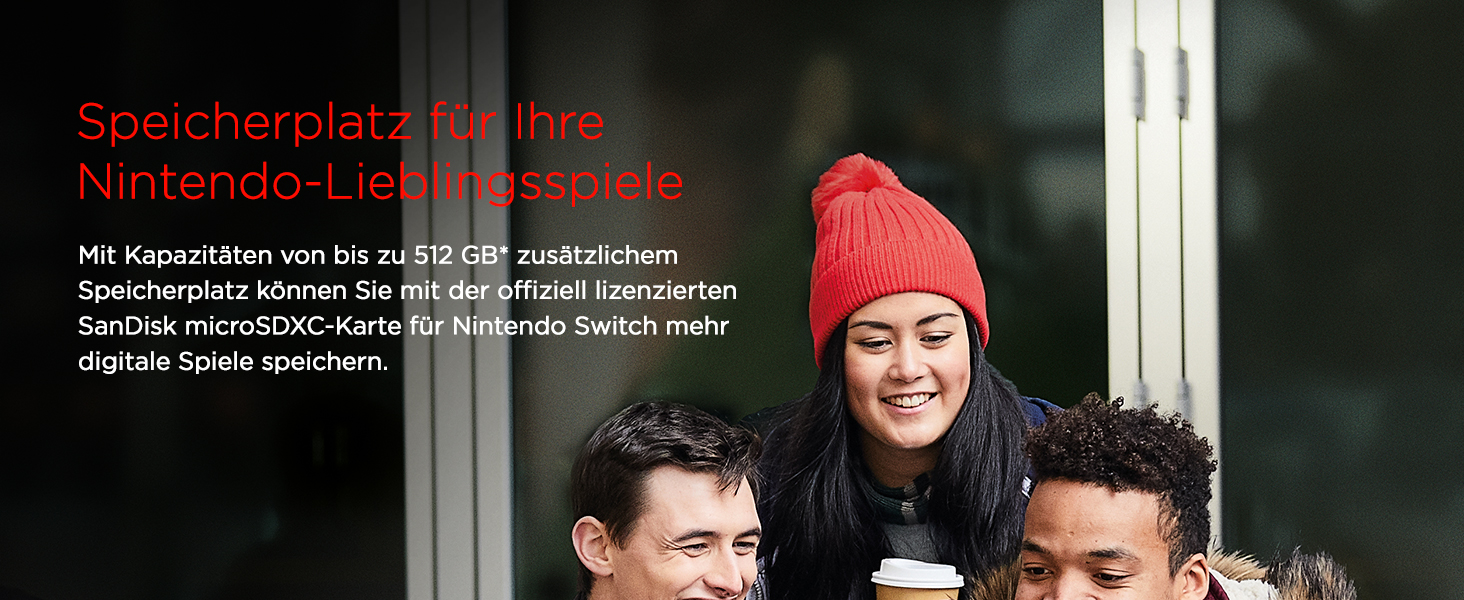 Nintendo-Lieblingsspiele, microSDXC, Karte