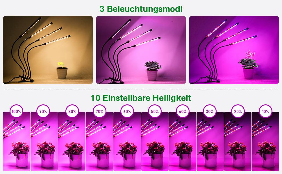Pflanzenlampe