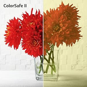 Acer ColorSafe II