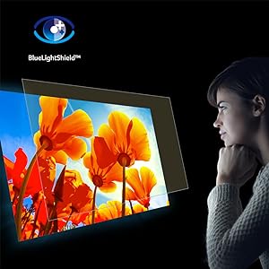BlueLightShield
