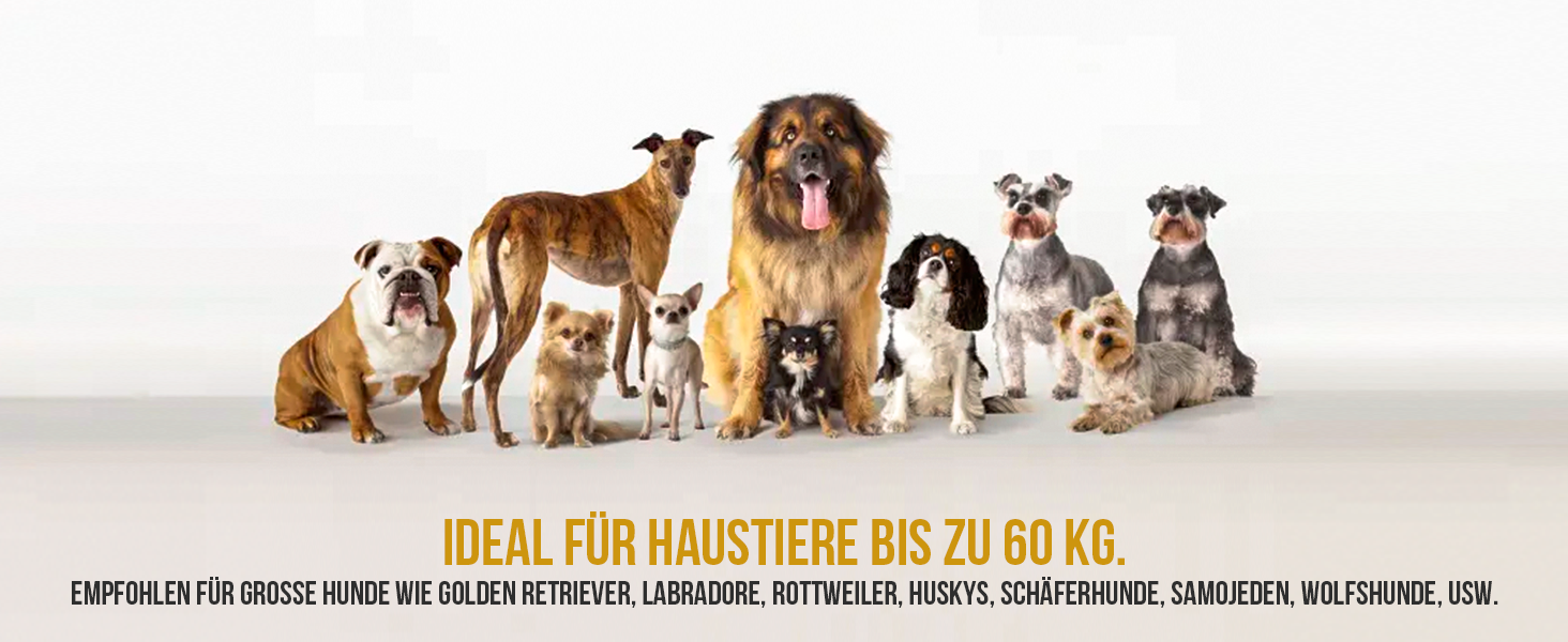 Aufstellung verschiedener Hunderassen, sortiert nach Größe, mit deutschem Text, der auf die Eignung des Produkts für Haustiere bis 60 kg hinweist