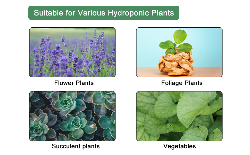 Hydroponic Plant Food