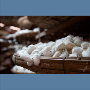 fair trade silk