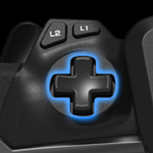 D Pad